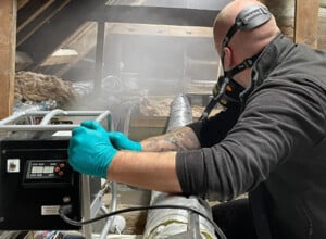 Become a professional pest controller