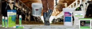 Buy pest control products online